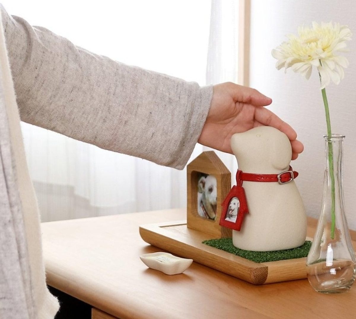 Una mano appoggia un'urna con la cornice del proprio cane accanto a un fiore