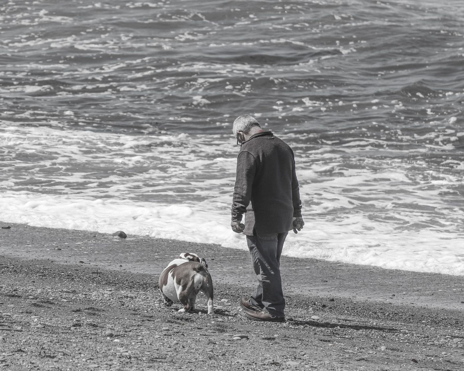 Un uomo anziano cammina in riva al mare insieme al suo cane